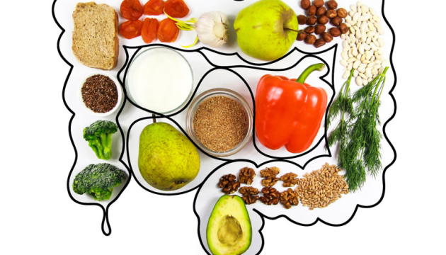 prebiotic là gì