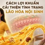 CÁCH LỢI KHUẨN CẢI THIỆN TÌNH TRẠNG “LÃO HÓA NỘI SINH” Ở PHỤ NỮ NGOÀI 25 TUỔI