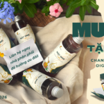 MÙA TRĂNG TRÒN VỊ – THÂN NHẸ TÂM AN KHI MUA 5 TẶNG 2